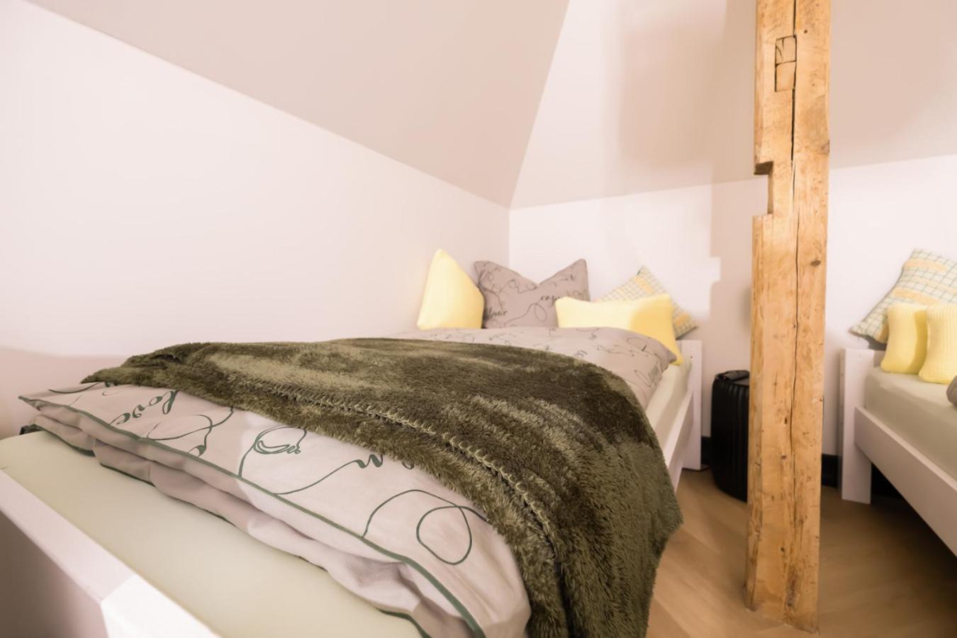 Aussergewoehnliche Ferienwohnung Stadtvilla Plauen Esterno foto